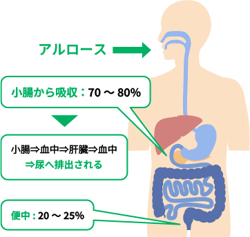 アルロース 小腸から吸収：70〜80% 小腸→血中→肝臓→血中→尿へ排出される 便中：20〜25%