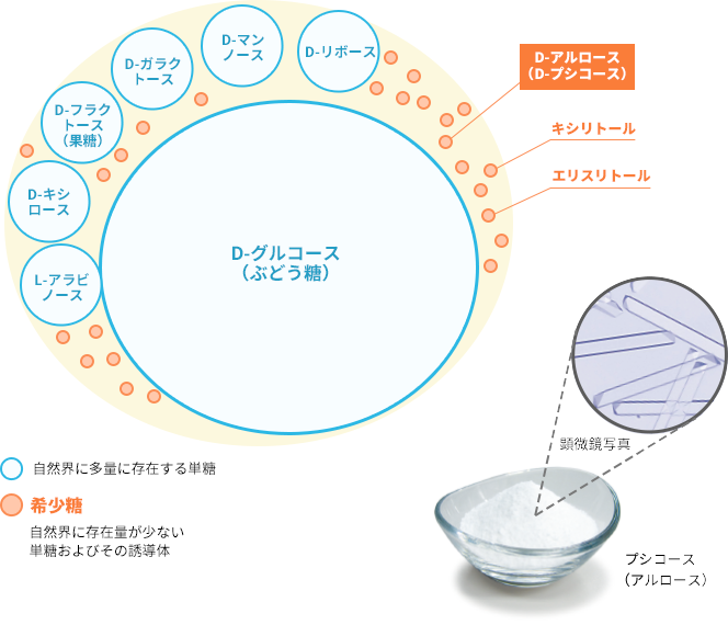 希少糖 | 機能性素材 | 製品・事例紹介 | 松谷化学工業株式会社